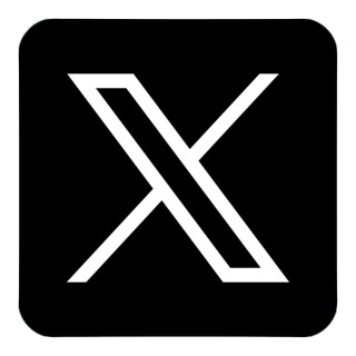 X Icon